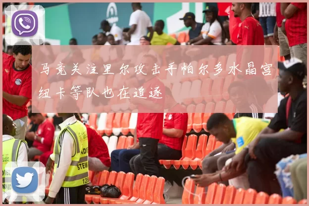 马竞关注里尔攻击手帕尔多水晶宫纽卡等队也在追逐