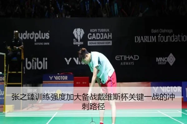 张之臻训练强度加大备战戴维斯杯关键一战的冲刺路径